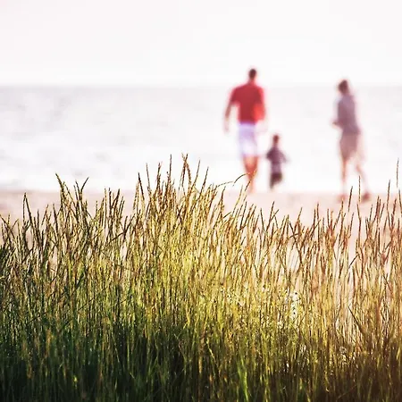 Driftberg Driftberg 66 Apartament